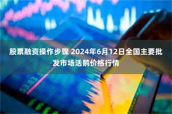 股票融资操作步骤 2024年6月12日全国主要批发市场活鹅价格行情