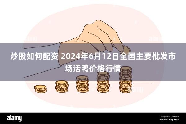 炒股如何配资 2024年6月12日全国主要批发市场活鸭价格行情