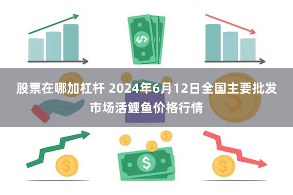 股票在哪加杠杆 2024年6月12日全国主要批发市场活鲤鱼价格行情