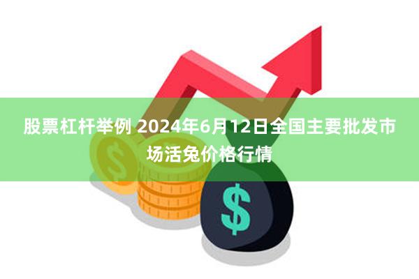 股票杠杆举例 2024年6月12日全国主要批发市场活兔价格行情