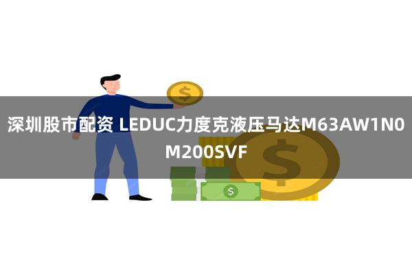 深圳股市配资 LEDUC力度克液压马达M63AW1N0M200SVF