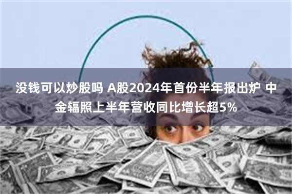 没钱可以炒股吗 A股2024年首份半年报出炉 中金辐照上半年营收同比增长超5%