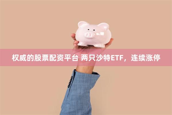 权威的股票配资平台 两只沙特ETF，连续涨停