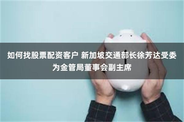 如何找股票配资客户 新加坡交通部长徐芳达受委为金管局董事会副主席