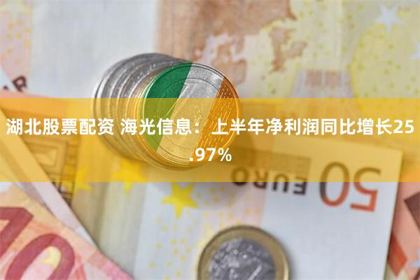 湖北股票配资 海光信息：上半年净利润同比增长25.97%