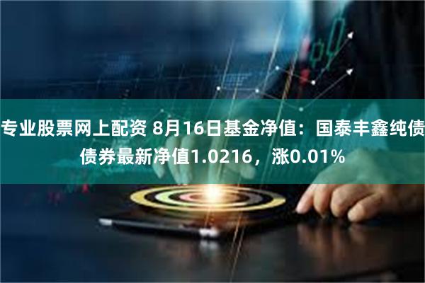 专业股票网上配资 8月16日基金净值：国泰丰鑫纯债债券最新净值1.0216，涨0.01%