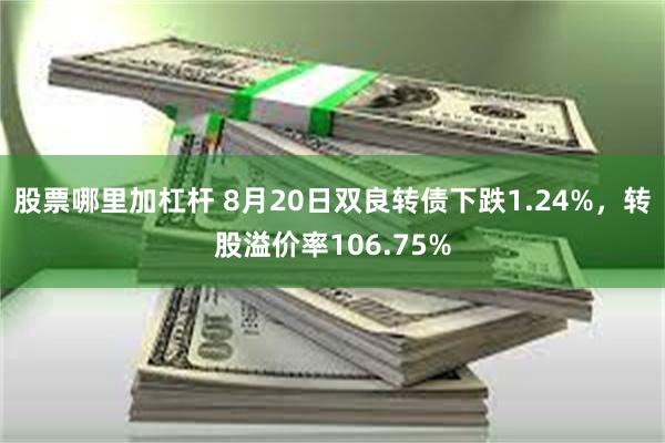 股票哪里加杠杆 8月20日双良转债下跌1.24%，转股溢价率106.75%