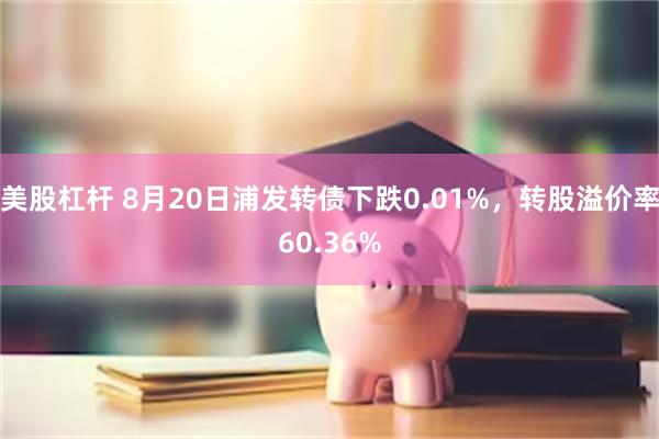 美股杠杆 8月20日浦发转债下跌0.01%，转股溢价率60.36%