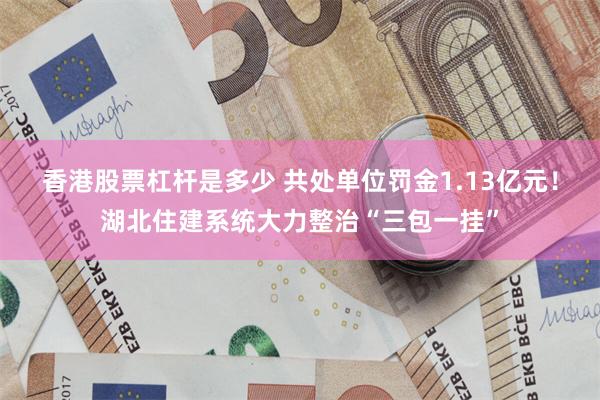 香港股票杠杆是多少 共处单位罚金1.13亿元！湖北住建系统大力整治“三包一挂”