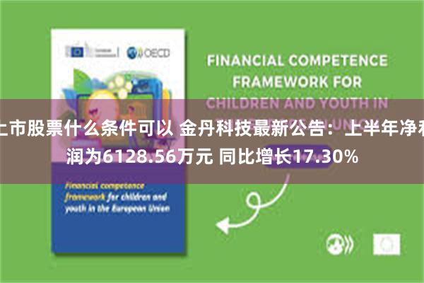 上市股票什么条件可以 金丹科技最新公告：上半年净利润为6128.56万元 同比增长17.30%