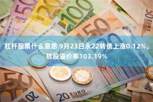 杠杆股票什么意思 9月23日永22转债上涨0.12%，转股溢价率103.19%