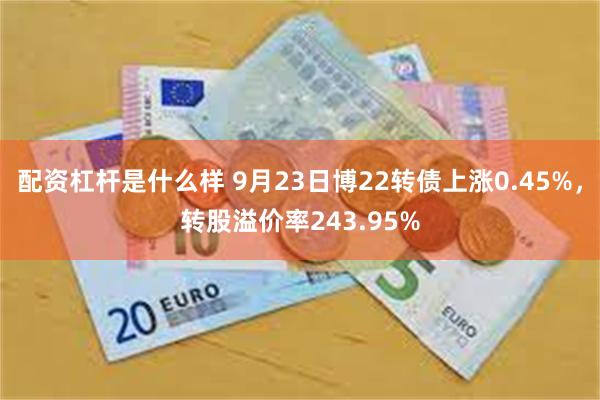 配资杠杆是什么样 9月23日博22转债上涨0.45%，转股溢价率243.95%