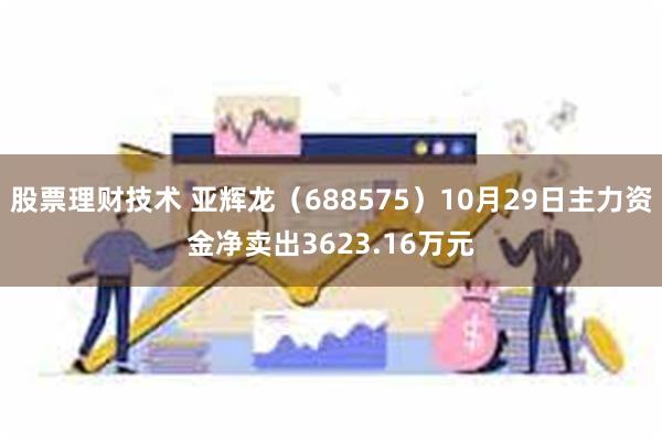 股票理财技术 亚辉龙（688575）10月29日主力资金净卖出3623.16万元