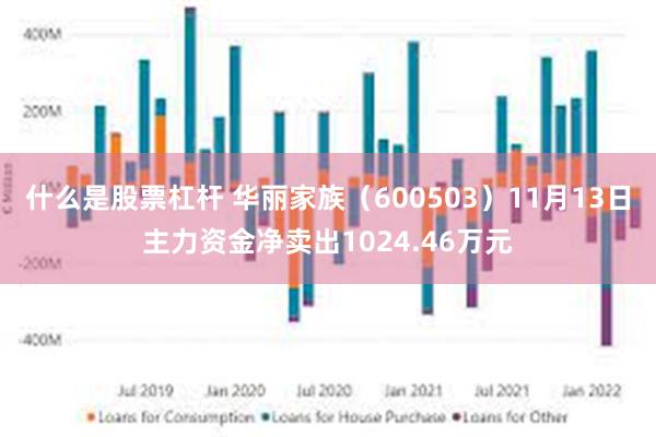 什么是股票杠杆 华丽家族（600503）11月13日主力资金净卖出1024.46万元