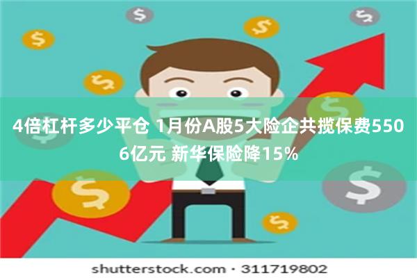 4倍杠杆多少平仓 1月份A股5大险企共揽保费5506亿元 新华保险降15%