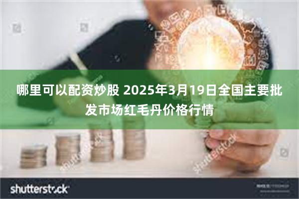 哪里可以配资炒股 2025年3月19日全国主要批发市场红毛丹价格行情